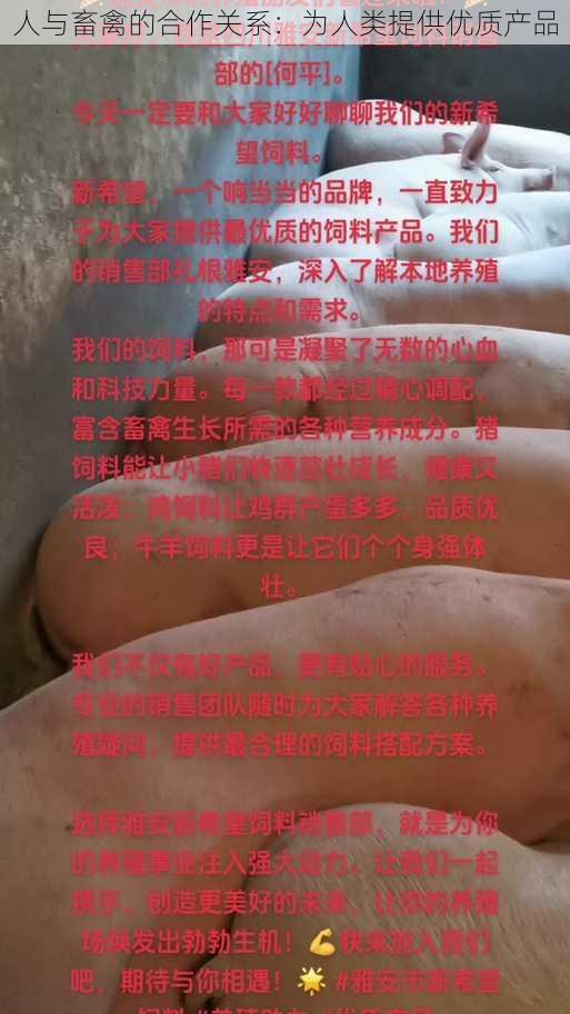 人与畜禽的合作关系：为人类提供优质产品