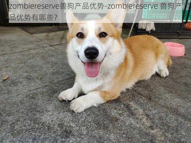 zombiereserve兽狗产品优势-zombiereserve 兽狗产品优势有哪些？