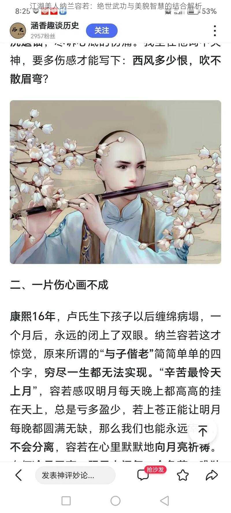 江湖美人纳兰容若：绝世武功与美貌智慧的结合解析