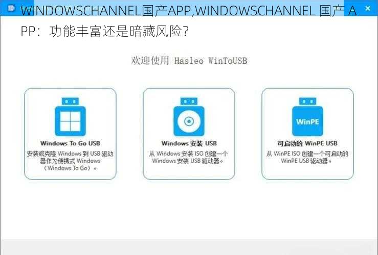 WINDOWSCHANNEL国产APP,WINDOWSCHANNEL 国产 APP：功能丰富还是暗藏风险？