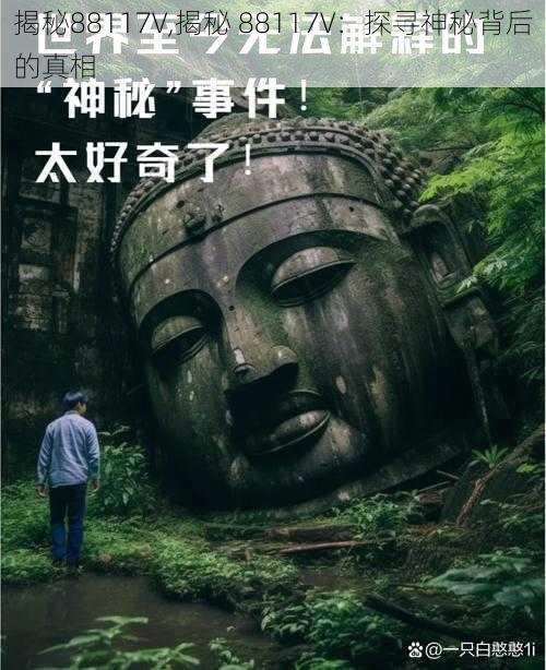 揭秘88117V,揭秘 88117V：探寻神秘背后的真相