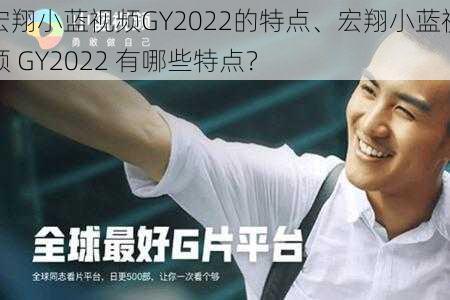 宏翔小蓝视频GY2022的特点、宏翔小蓝视频 GY2022 有哪些特点？