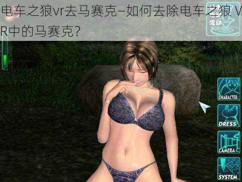 电车之狼vr去马赛克—如何去除电车之狼 VR中的马赛克？