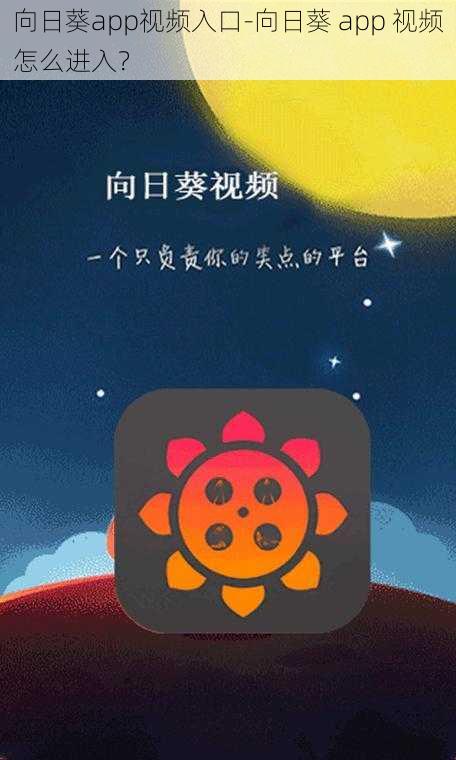 向日葵app视频入口-向日葵 app 视频怎么进入？