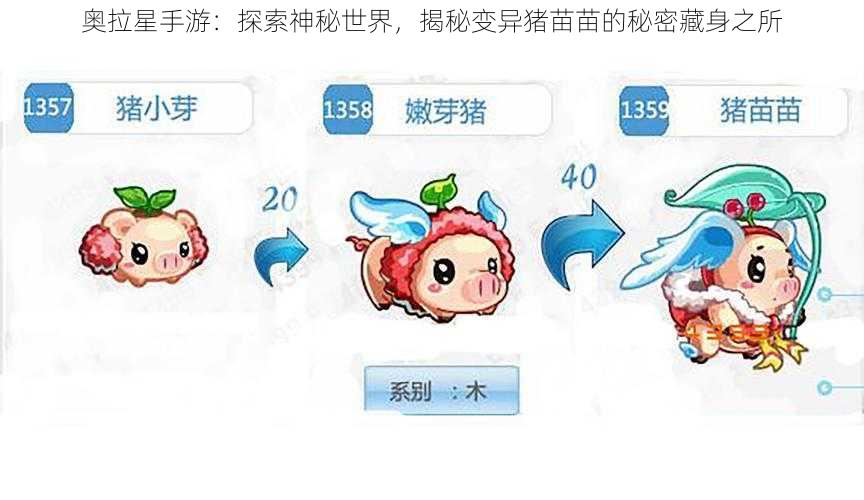 奥拉星手游：探索神秘世界，揭秘变异猪苗苗的秘密藏身之所