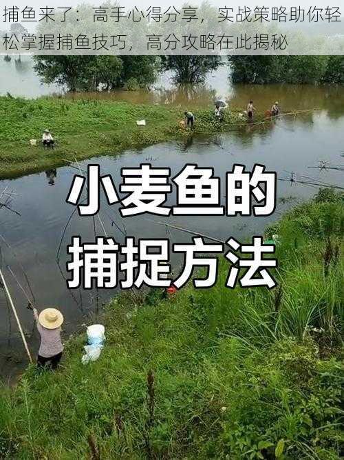 捕鱼来了：高手心得分享，实战策略助你轻松掌握捕鱼技巧，高分攻略在此揭秘