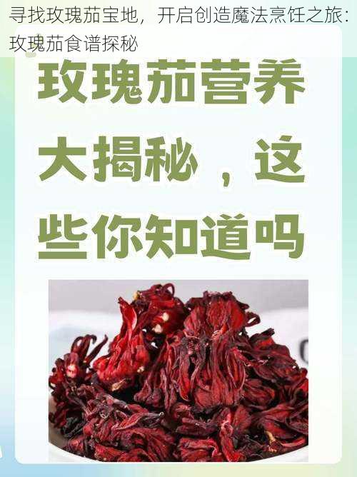 寻找玫瑰茄宝地，开启创造魔法烹饪之旅：玫瑰茄食谱探秘