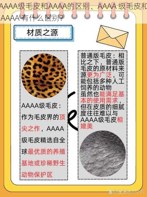 AAAA级毛皮和AAAA的区别、AAAA 级毛皮和 AAAA 有什么区别？