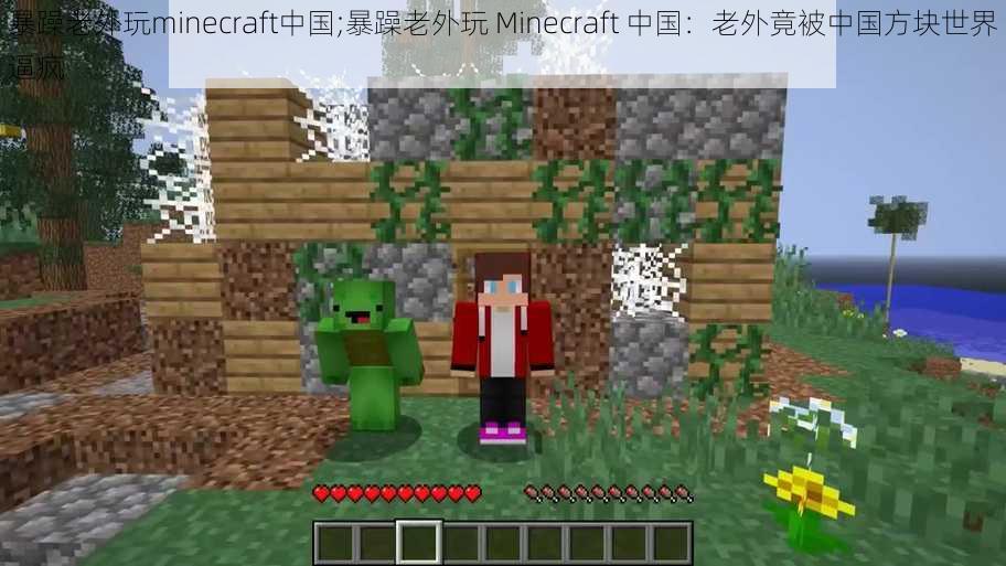 暴躁老外玩minecraft中国;暴躁老外玩 Minecraft 中国：老外竟被中国方块世界逼疯