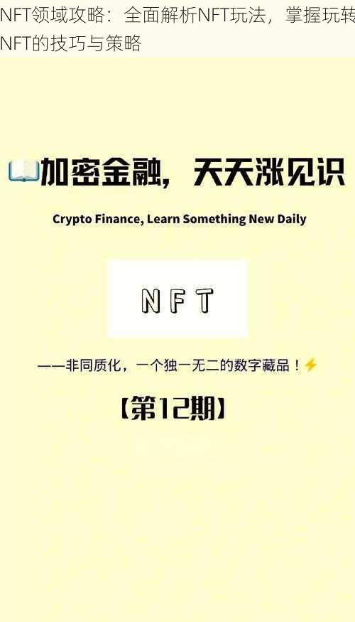 NFT领域攻略：全面解析NFT玩法，掌握玩转NFT的技巧与策略