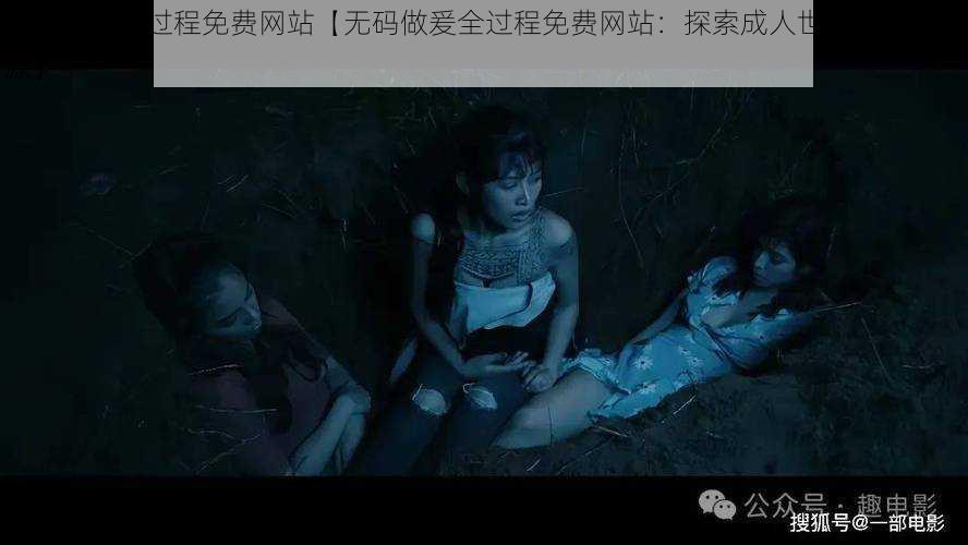 无码做爰全过程免费网站【无码做爰全过程免费网站：探索成人世界的免费资源】