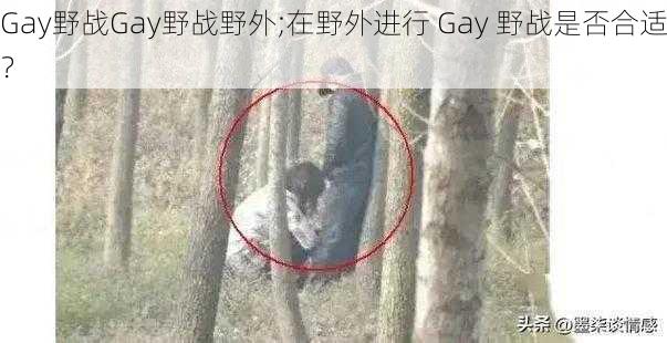 Gay野战Gay野战野外;在野外进行 Gay 野战是否合适？