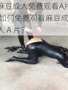 麻豆成人免费观看A片 如何免费观看麻豆成人 A 片？