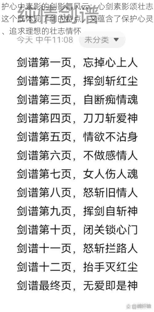 护心中素影的剑影舞风云：心剑素影颂壮志这个既体现了剑的特点，又蕴含了保护心灵、追求理想的壮志情怀