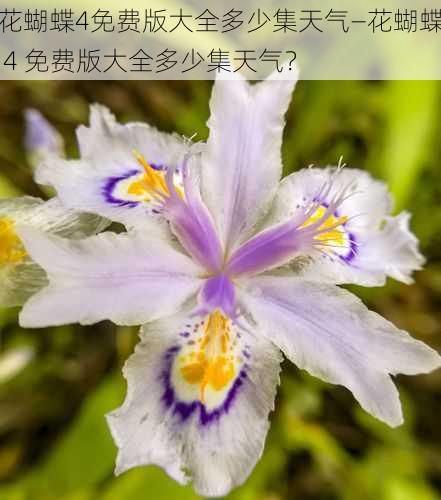 花蝴蝶4免费版大全多少集天气—花蝴蝶 4 免费版大全多少集天气？