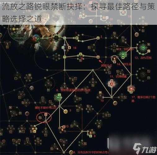 流放之路锐眼禁断抉择：探寻最佳路径与策略选择之道