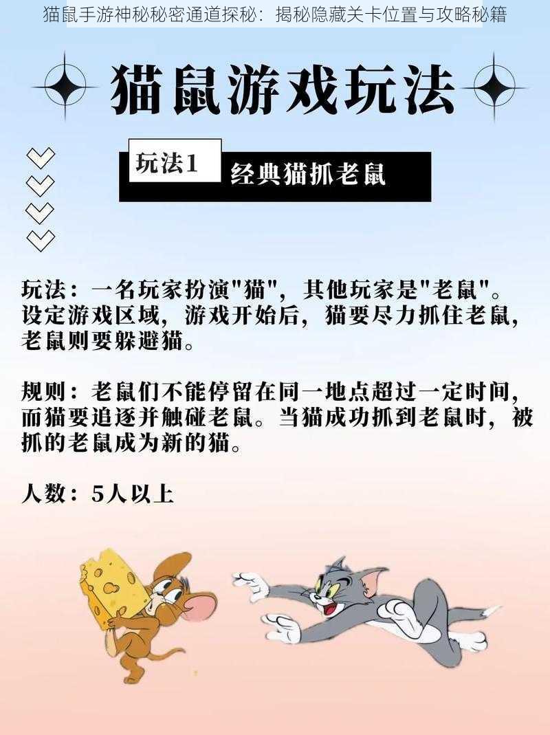 猫鼠手游神秘秘密通道探秘：揭秘隐藏关卡位置与攻略秘籍