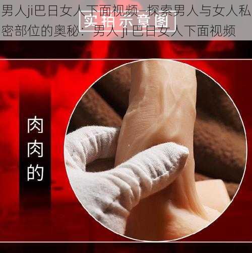 男人ji巴日女人下面视频—探索男人与女人私密部位的奥秘：男人 ji 巴日女人下面视频