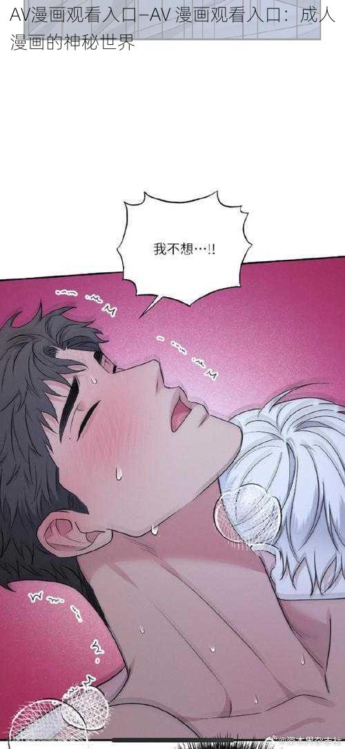 AV漫画观看入口—AV 漫画观看入口：成人漫画的神秘世界