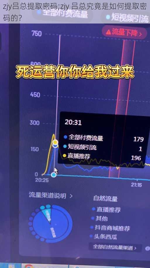 zjy吕总提取密码;zjy 吕总究竟是如何提取密码的？