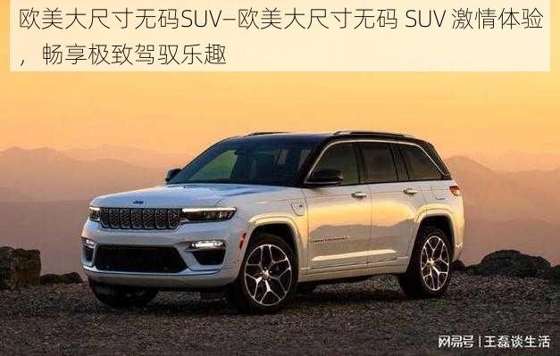 欧美大尺寸无码SUV—欧美大尺寸无码 SUV 激情体验，畅享极致驾驭乐趣