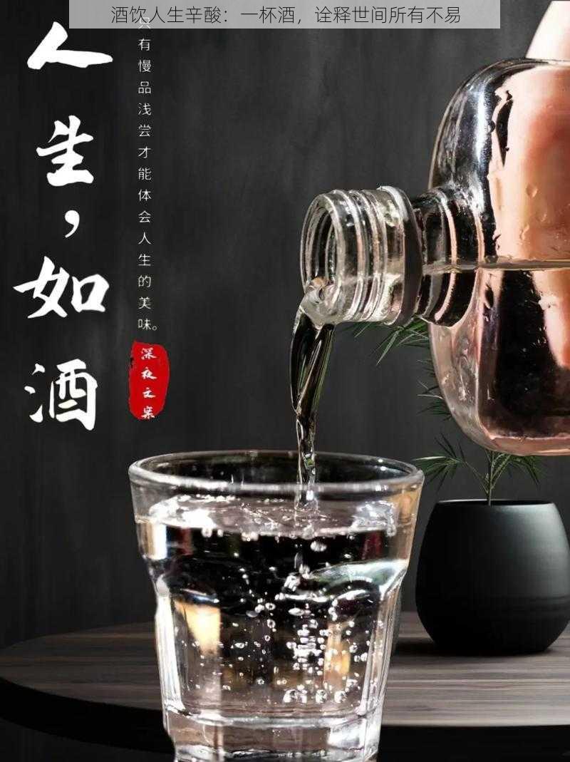 酒饮人生辛酸：一杯酒，诠释世间所有不易