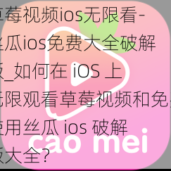 草莓视频ios无限看-丝瓜ios免费大全破解版_如何在 iOS 上无限观看草莓视频和免费使用丝瓜 ios 破解版大全？