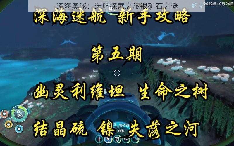 深海奥秘：迷航探索之旅银矿石之谜