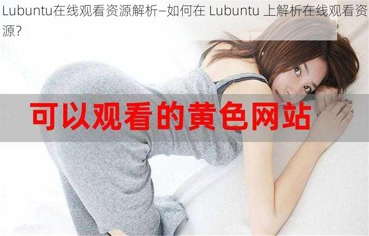 Lubuntu在线观看资源解析—如何在 Lubuntu 上解析在线观看资源？