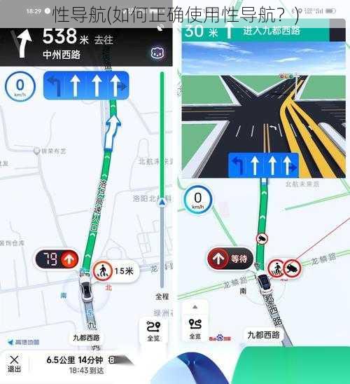 性导航(如何正确使用性导航？)