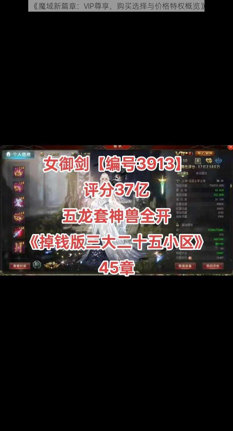 《魔域新篇章：VIP尊享，购买选择与价格特权概览》