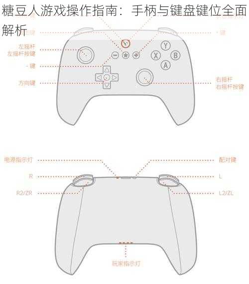 糖豆人游戏操作指南：手柄与键盘键位全面解析