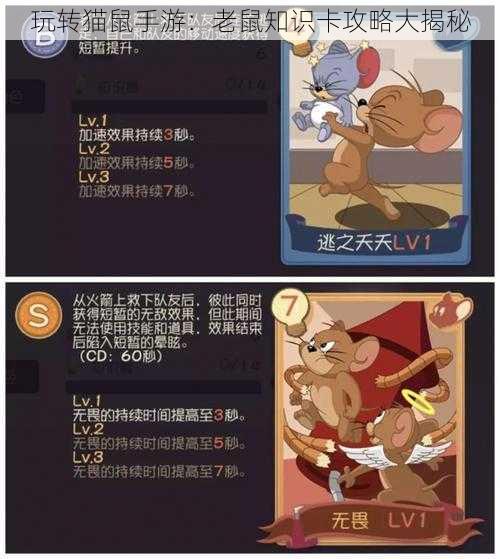 玩转猫鼠手游：老鼠知识卡攻略大揭秘