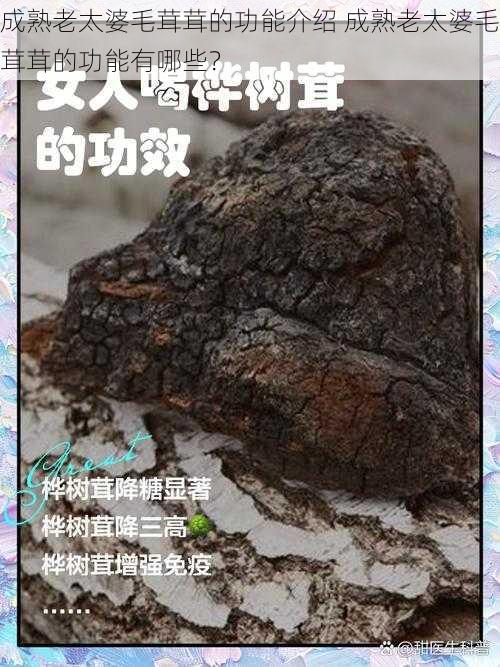 成熟老太婆毛茸茸的功能介绍 成熟老太婆毛茸茸的功能有哪些？