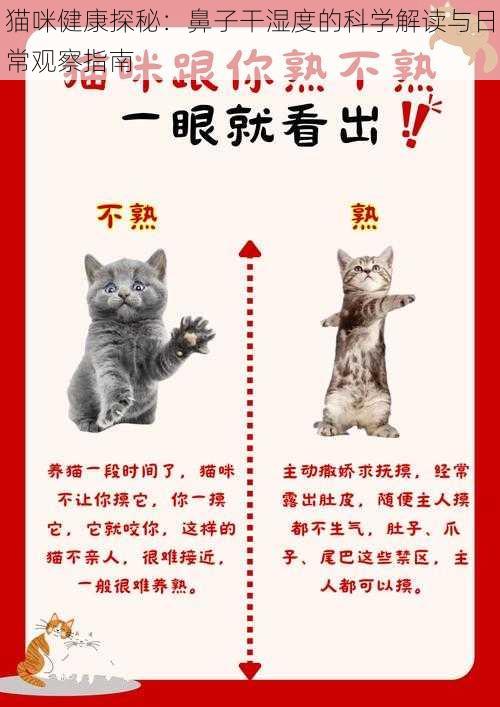 猫咪健康探秘：鼻子干湿度的科学解读与日常观察指南