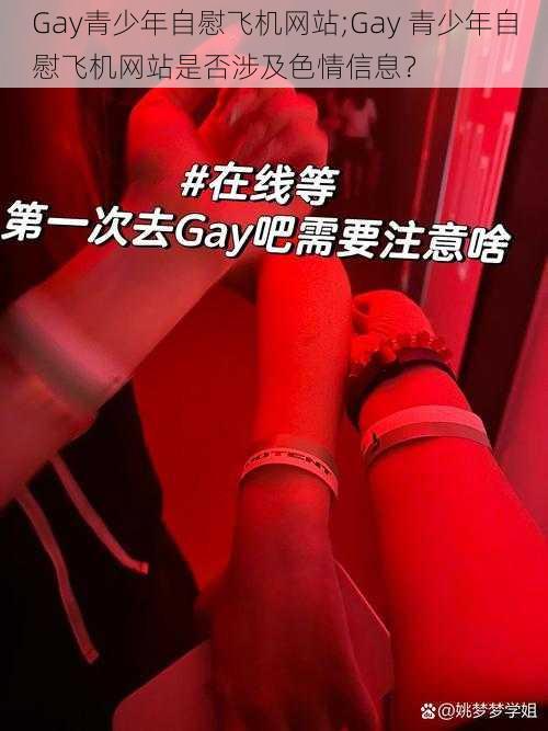 Gay青少年自慰飞机网站;Gay 青少年自慰飞机网站是否涉及色情信息？