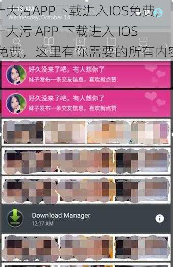 十大污APP下载进入IOS免费,十大污 APP 下载进入 IOS 免费，这里有你需要的所有内容