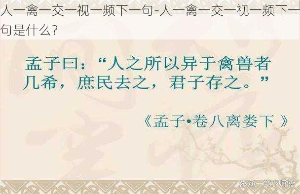 人一禽一交一视一频下一句-人一禽一交一视一频下一句是什么？