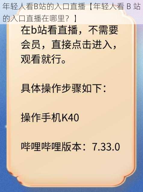 年轻人看B站的入口直播【年轻人看 B 站的入口直播在哪里？】