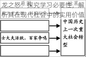 龙之怒：探究学习必要性，解析其在现代社会中的实用价值