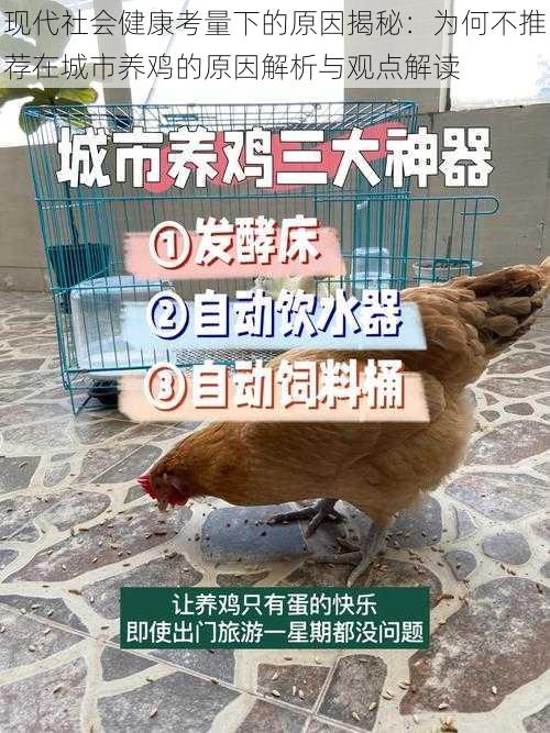 现代社会健康考量下的原因揭秘：为何不推荐在城市养鸡的原因解析与观点解读