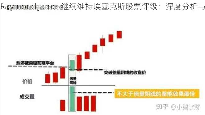 Raymond James继续维持埃塞克斯股票评级：深度分析与