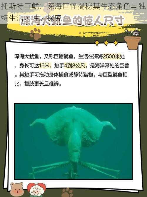 托斯特巨鱿：深海巨怪揭秘其生态角色与独特生活习性之探究