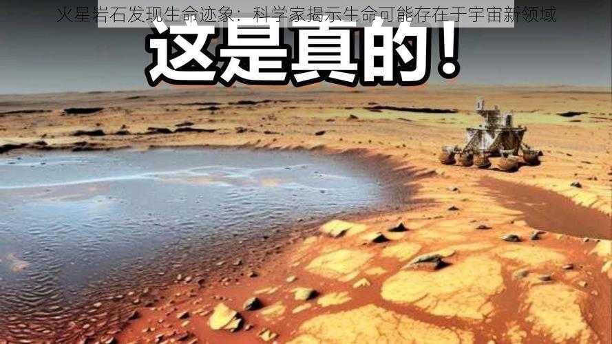 火星岩石发现生命迹象：科学家揭示生命可能存在于宇宙新领域