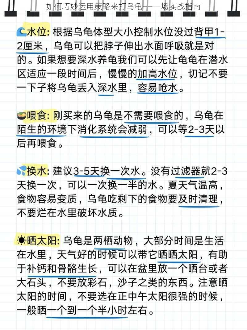 如何巧妙运用策略来打乌龟——一场实战指南