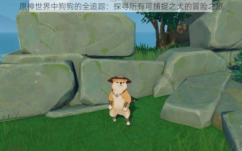 原神世界中狗狗的全追踪：探寻所有可捕捉之犬的冒险之旅