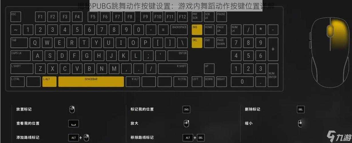 揭秘PUBG跳舞动作按键设置：游戏内舞蹈动作按键位置详解