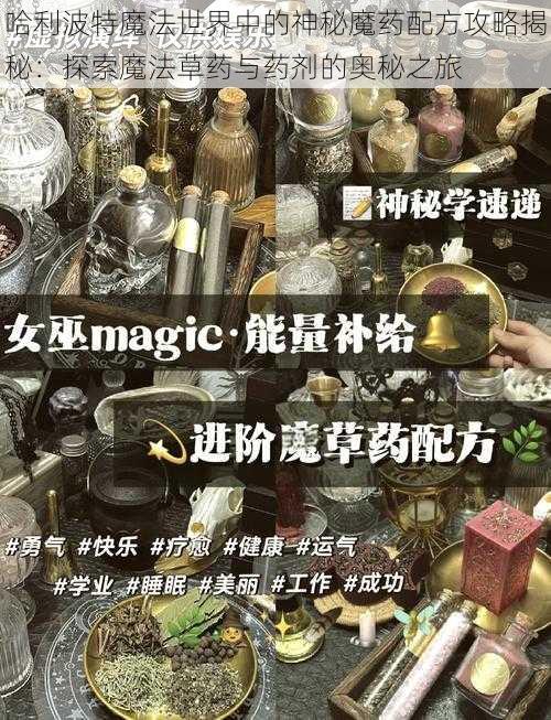 哈利波特魔法世界中的神秘魔药配方攻略揭秘：探索魔法草药与药剂的奥秘之旅