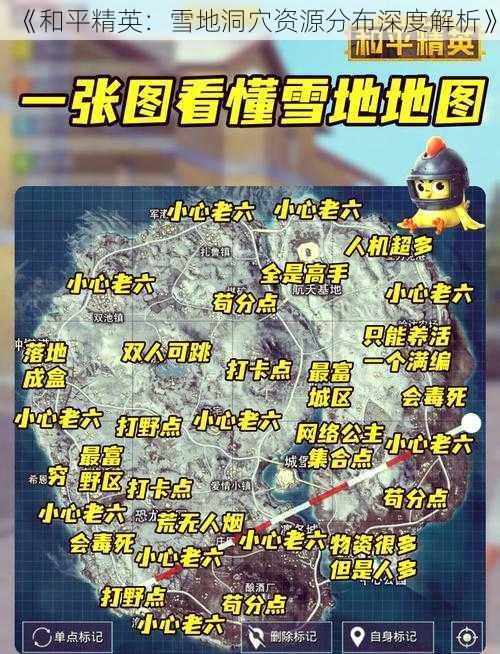 《和平精英：雪地洞穴资源分布深度解析》