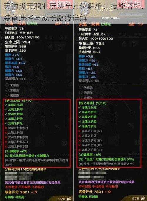 天谕炎天职业玩法全方位解析：技能搭配、装备选择与成长路线详解